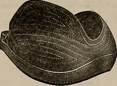 Image from page 390 of "Breeder and sportsman" (1882)