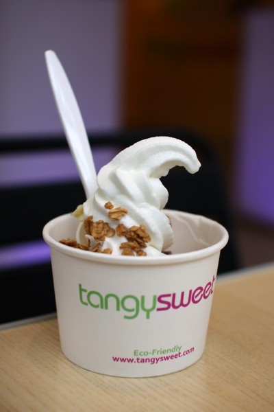 tangysweet frozen yogurt 2