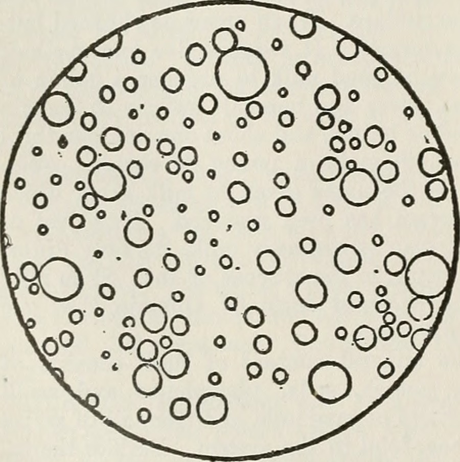 Image from page 217 of "The American educator; completely remodelled and rewritten from original text of the New practical reference library, with new plans and additional material" (1919)