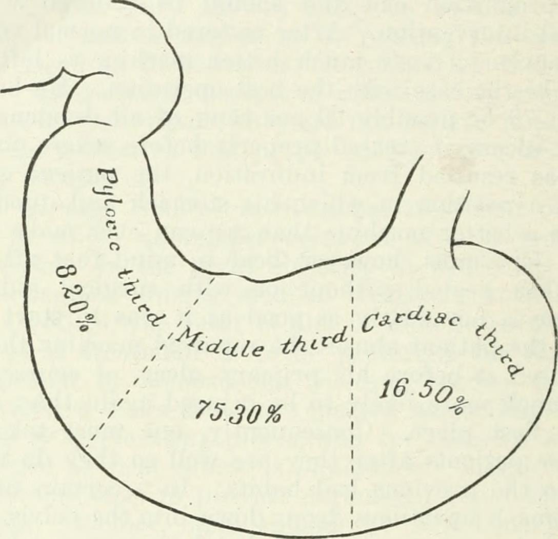 Image from page 405 of "General surgery" (1901)